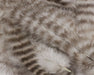 A close-up view of Hareline Grizzly Soft Hackle feathers in Natural Grizzly, showcasing the classic, high-contrast black and white barred mottled pattern.