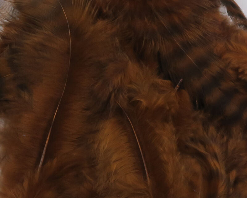 A close-up view of Hareline Grizzly Soft Hackle feathers in Brown #40, highlighting rich, warm earthy-brown fibers integrated with dark grizzly variegation.