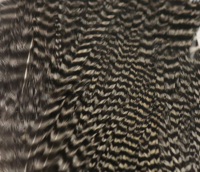 Natural grizzly barred pattern Hareline Half Cape rooster feathers for Adams dry flies and woolly bugger tails.