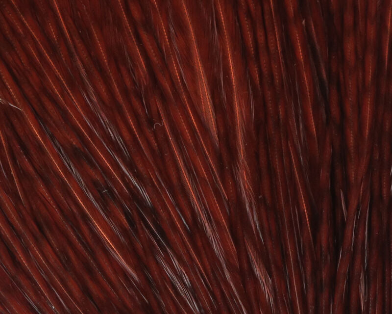 Natural brown Hareline Half Cape rooster hackle feathers ideal for wrapping classic streamer and wet fly collars.
