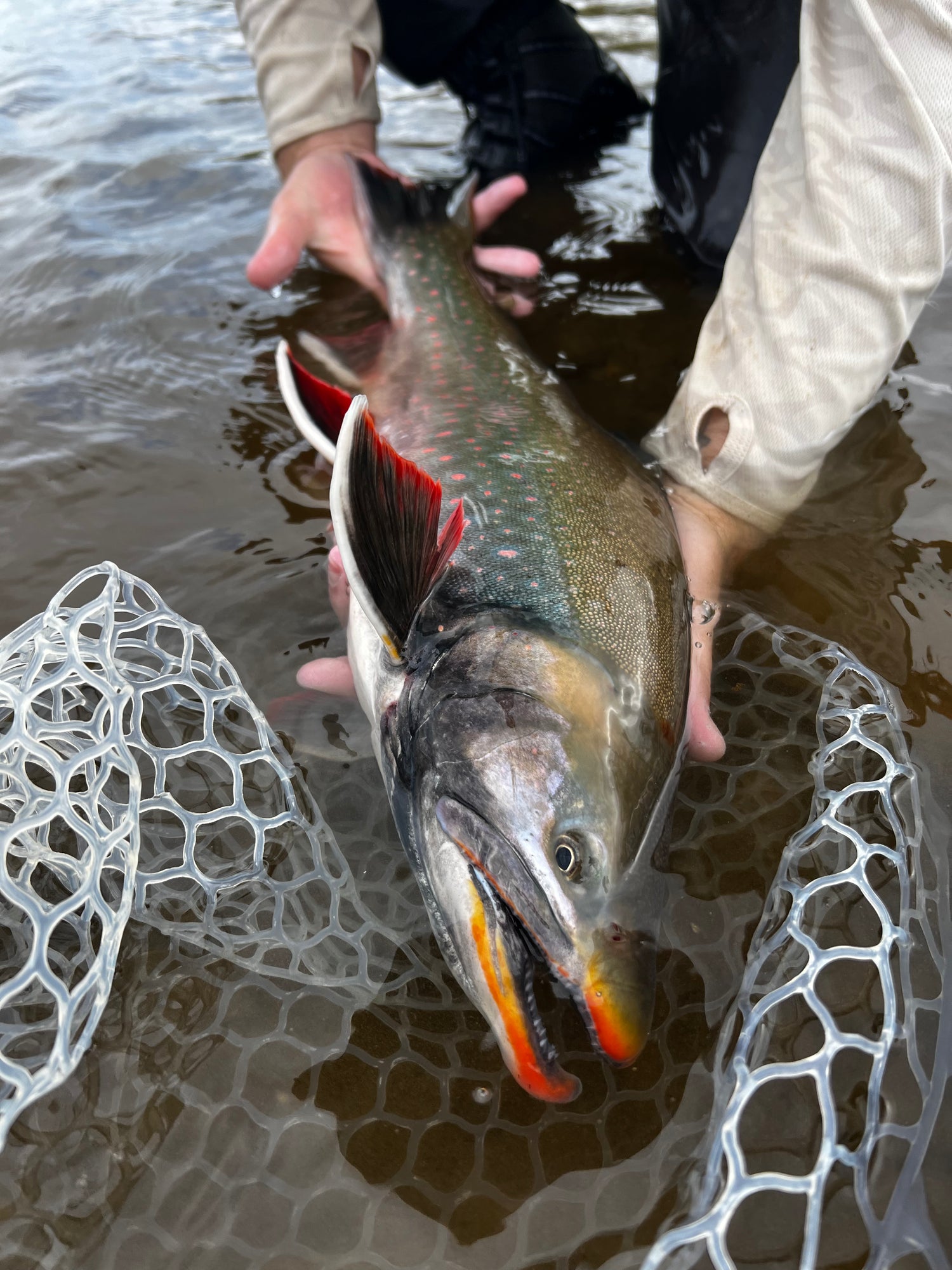 Gear for Small Creeks and Fly-Outs