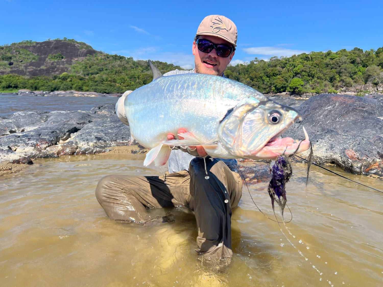 Gear for Payara