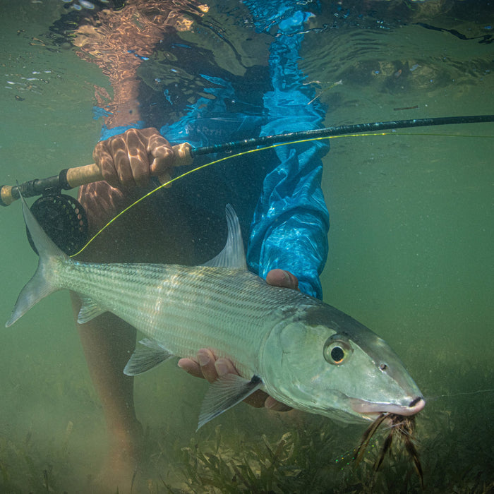 St. Croix Imperial Salt Fly Rod
