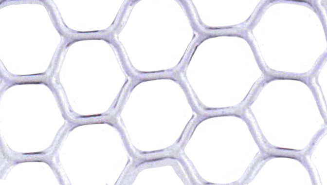 Rising Replacement Net