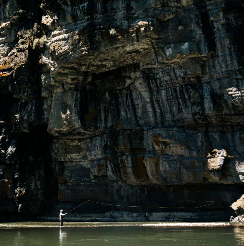 THE NEW BALANCE OF POWER