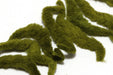 A package of Spawn Polliwog Tails in Olive #263, highlighting a bundle of tapered, rich olive-green synthetic tails tailored for natural baitfish and damselfly patterns.