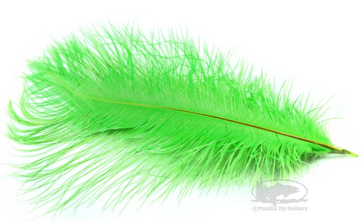 A full Montana Fly Company Ostrich Plume in a vibrant, high-visibility Chartreuse green colorway, displaying the fine, long barbs tapering from the central quill.