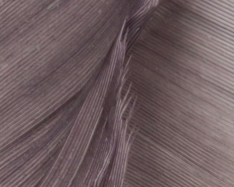 Hareline Turkey Biots Quills