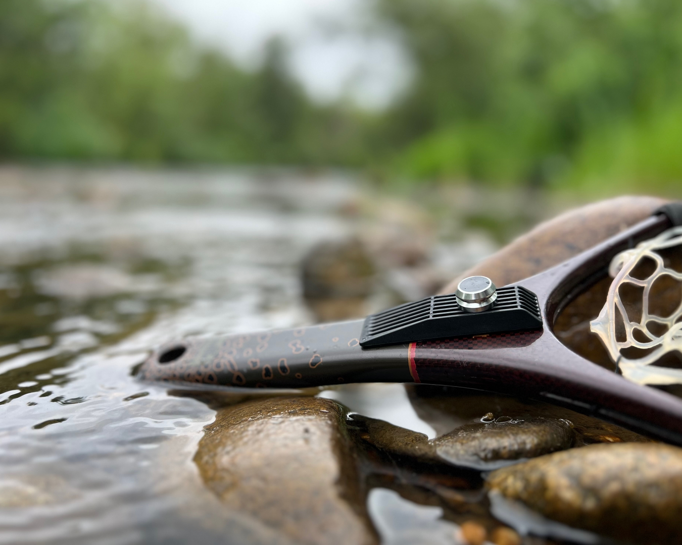 Broder Fly Fishing