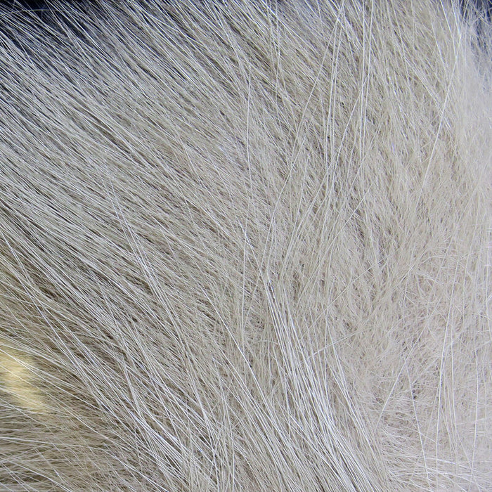 Hareline Arctic Fox Hair