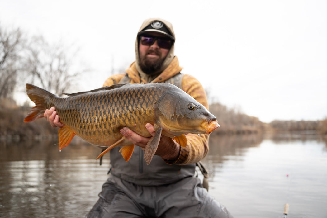Carp Presentation: August 21st