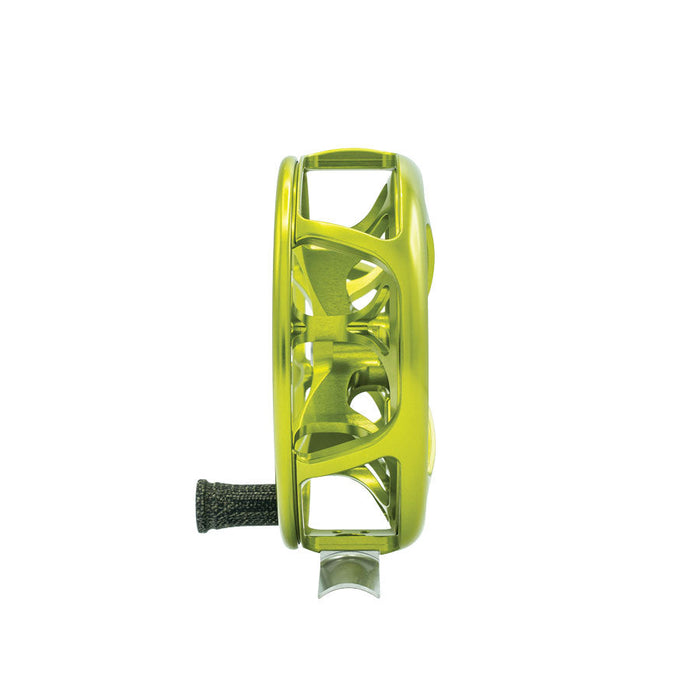 Ross Colorado 2026 Limited Colors