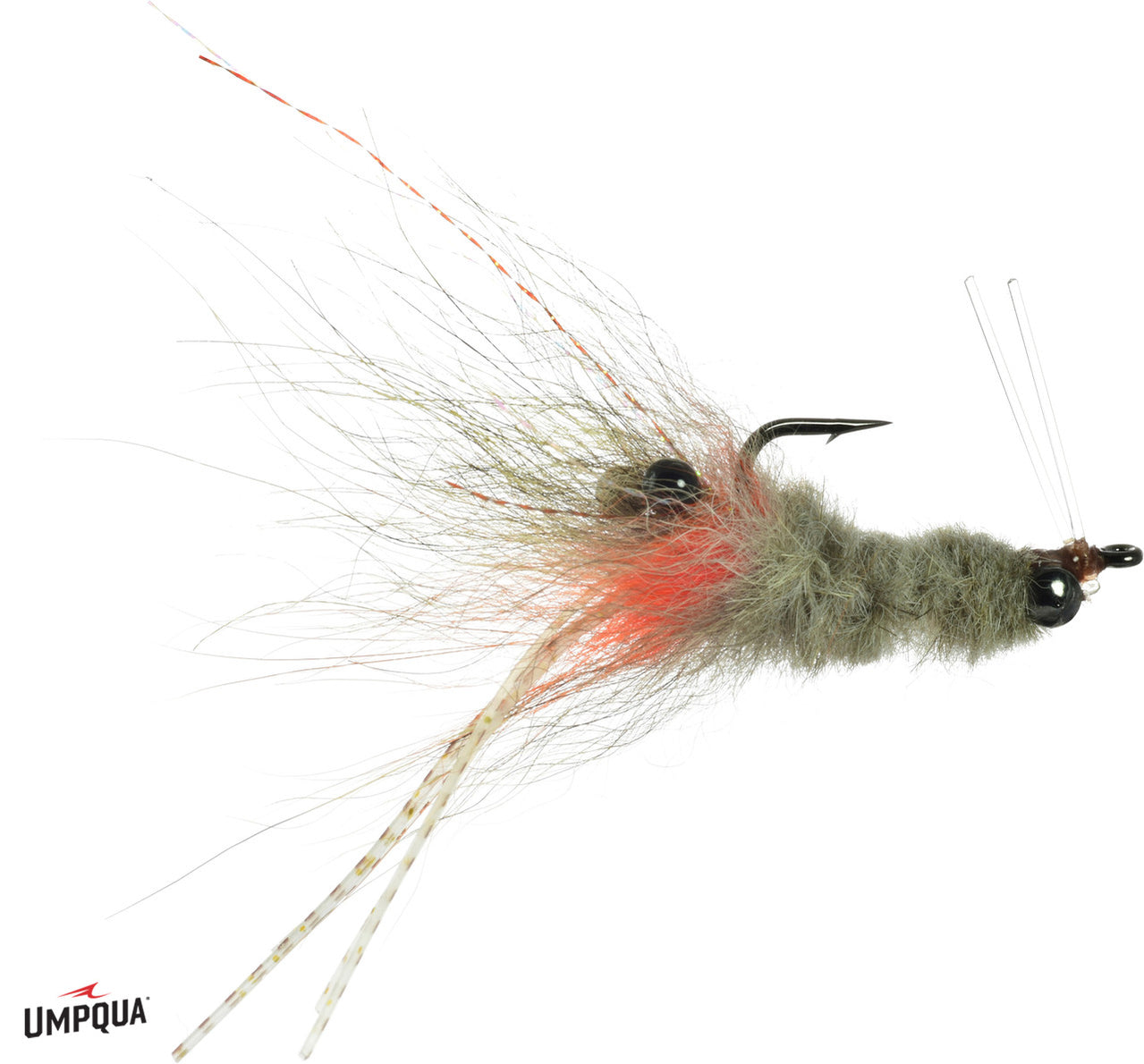 Coyote Spawn Shrimp — Golden Fly Shop