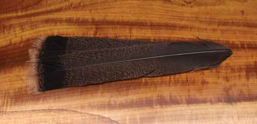 Matched pair of Hareline Cinnamon Tip Turkey Tail Feathers on a wood background for fly tying wings.