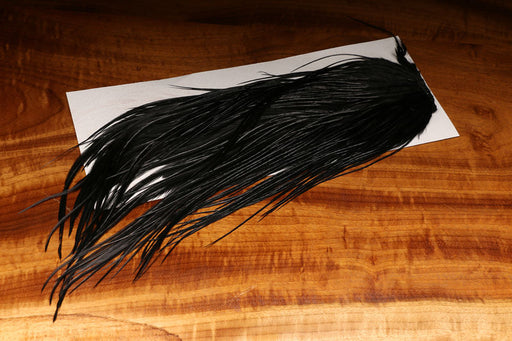 Black dyed over white Hareline Rooster Saddle patch with long, uniform feathers for tying woolly bugger flies.