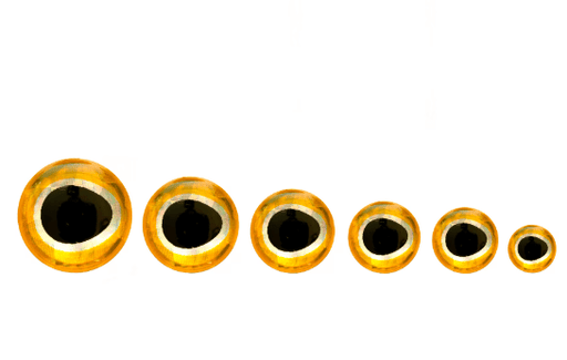 Fulling Mill gold 3D epoxy eyes for predator and saltwater streamer flies