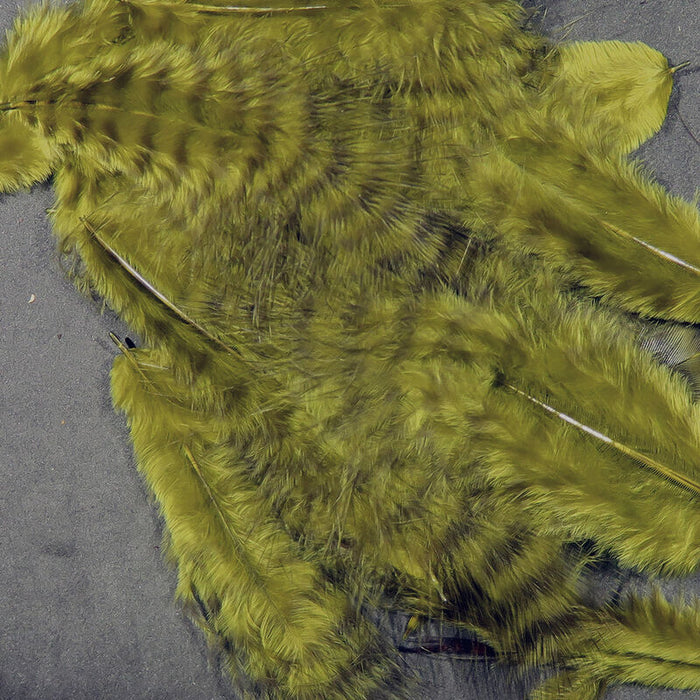 A close-up of Hareline Grizzly Marabou feathers in Olive #263, highlighting the deep olive-green fibers paired with contrasting dark barred grizzly markings.
