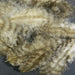 A close-up of Hareline Grizzly Marabou feathers in Tan #369, showcasing soft, sandy tan fibers detailed with light brown and cream barred grizzly variegation.