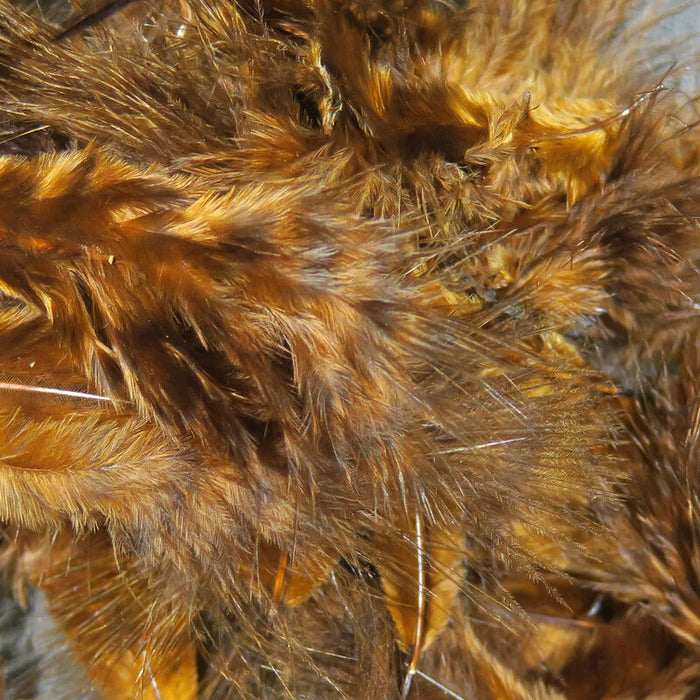 A close-up of Hareline Grizzly Marabou feathers in Brown #40, displaying a rich, warm brown colorway integrated with sharp, dark barred grizzly stripes.