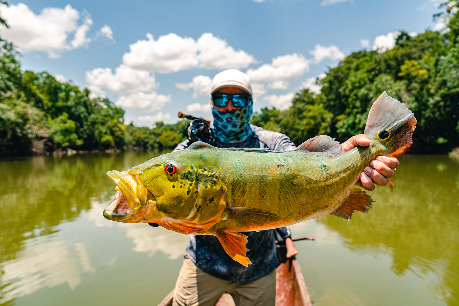 Gear for Peacock Bass