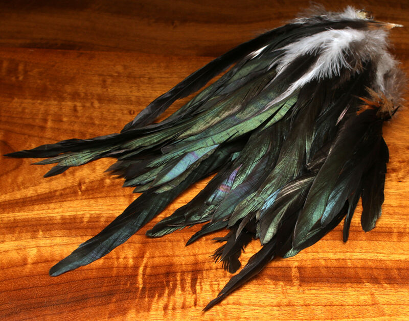 A package of Hareline Iridescent Black Schlappen feathers, showcasing the long, wide webby fibers with a high-gloss, multi-dimensional beetle green and deep black sheen.
