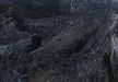 Dyed black mallard flank feathers for dark fly tying patterns and streamers