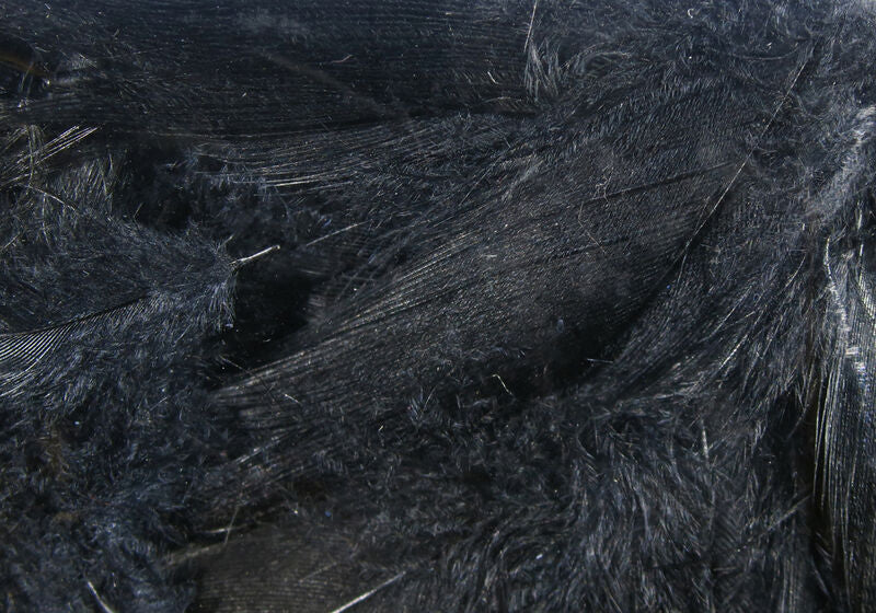 Dyed black mallard flank feathers for dark fly tying patterns and streamers
