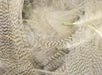 Natural barred mallard flank feathers grey and black for fly tying wings