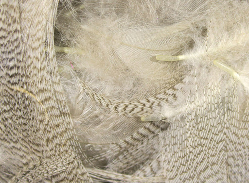 Natural barred mallard flank feathers grey and black for fly tying wings