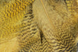 Hareline mallard flank feathers in wood duck tan color for realistic fly patterns