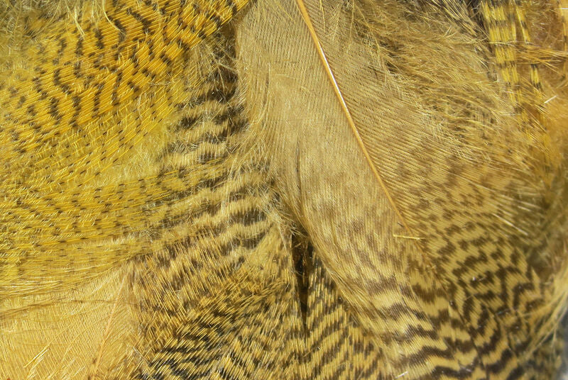 Hareline mallard flank feathers in wood duck tan color for realistic fly patterns
