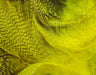 Dyed yellow mallard flank feathers for fly tying attractor patterns