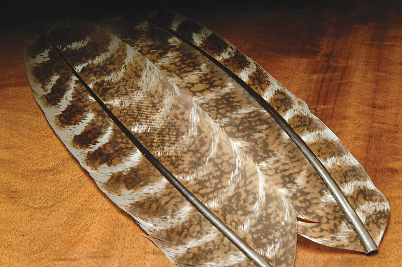 Hareline Ozark Oak Mottled Turkey Quills for fly tying wing cases and tails.
