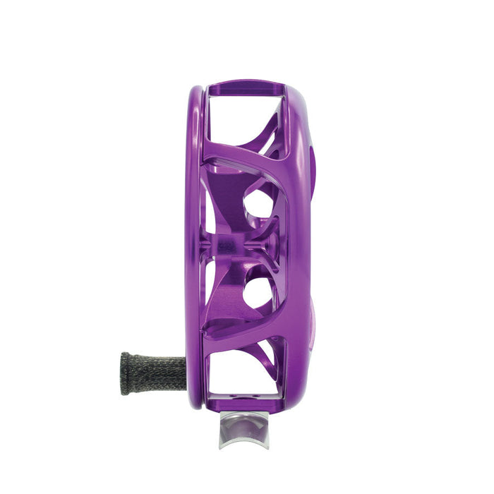 Ross Colorado 2026 Limited Colors