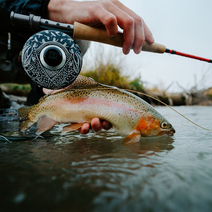 Ross San Miguel Underwood Series Fly Reel