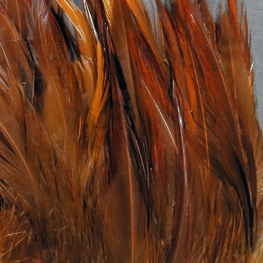 Hareline Strung Chinese Saddle Hackle 5-7 inch feathers in Fiery Brown showcasing a rich webby texture for streamer fly tying
