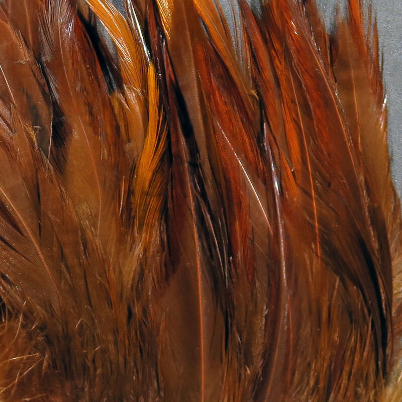 Hareline Strung Chinese Saddle Hackle 5-7 inch feathers in Fiery Brown showcasing a rich webby texture for streamer fly tying