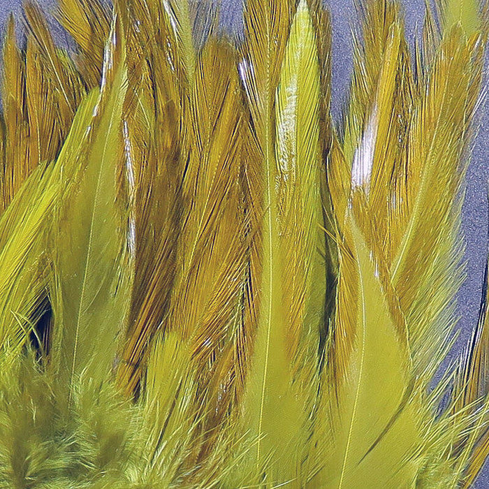 Hareline Strung Chinese Saddle Hackle 5-7 inch feathers in Olive green stitched at the base for easy fly tying bench organization