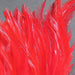 Hareline Strung Chinese Saddle Hackle 5-7 inch feathers in vibrant Red perfect for building colorful throats or collars on bass and pike flies