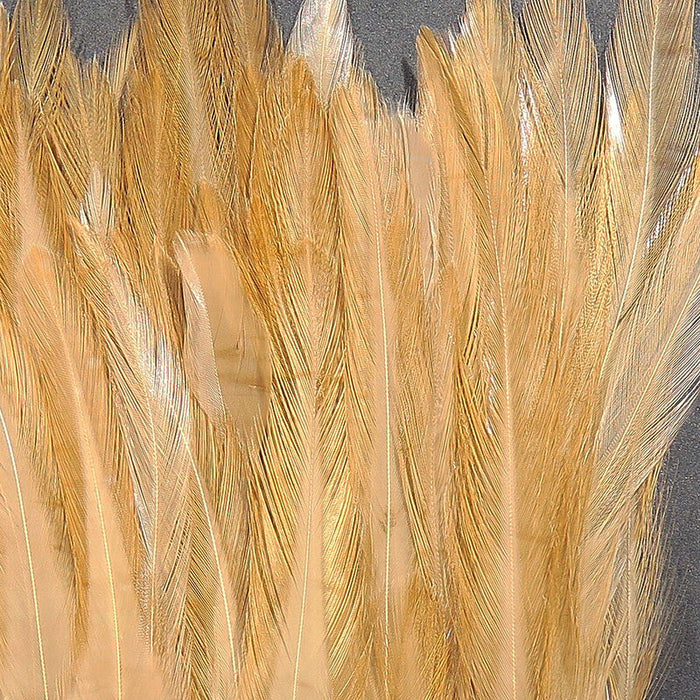 Hareline Strung Chinese Saddle Hackle 5-7 inch feathers in Tan highlighting the natural soft-hackle taper suited for sub-surface fly patterns