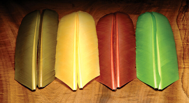 Hareline Turkey Biots Quills