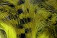 Olive Black Over Light Olive Hareline Magnum Tiger Barred Strip highlighting the variegated baitfish camouflage profile perfect for streamer fly tying