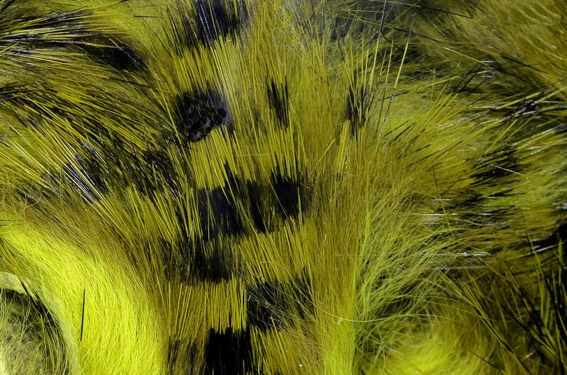 Olive Black Over Light Olive Hareline Magnum Tiger Barred Strip highlighting the variegated baitfish camouflage profile perfect for streamer fly tying