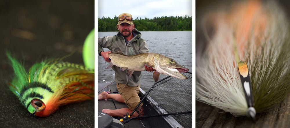 Ahrex PR320 Predator Stinger - (8pk)