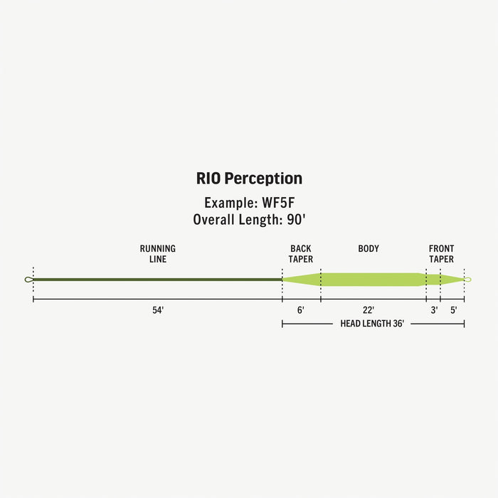 Rio - Premier Rio Perception