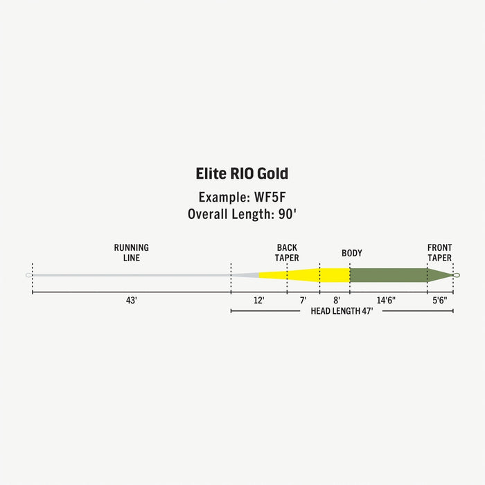 Rio - Elite Rio Gold