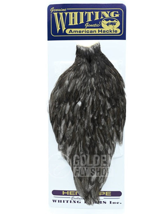 Whiting - American Hen Cape