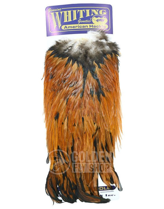 Whiting - American Rooster Saddle — Golden Fly Shop