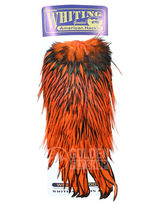 Whiting - American Rooster Saddle — Golden Fly Shop